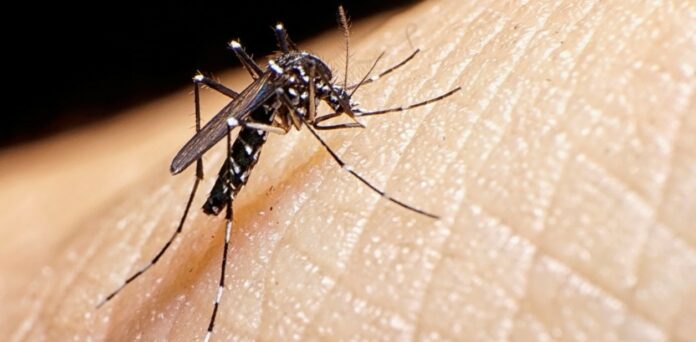 Nicaragua registra 437 casos confirmados de dengue y 5.007 sospechosos en la última semana