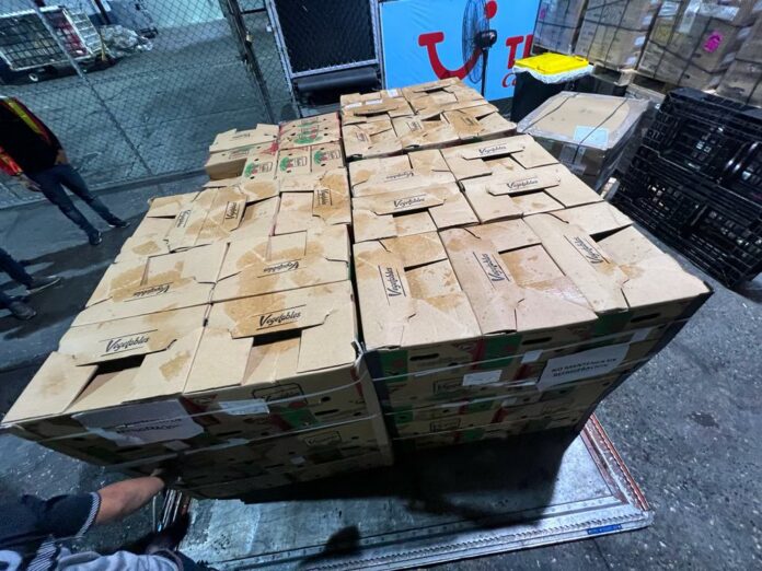 Ocupan en carga de cocos 56 paquetes cocaína en el AILA