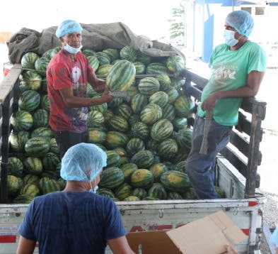 Plan San Juan promueve exportacion frutas y vegetales