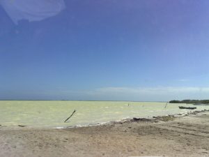 1704977895 570 RD conserva los territorios bautizados por Colon y otros espanoles