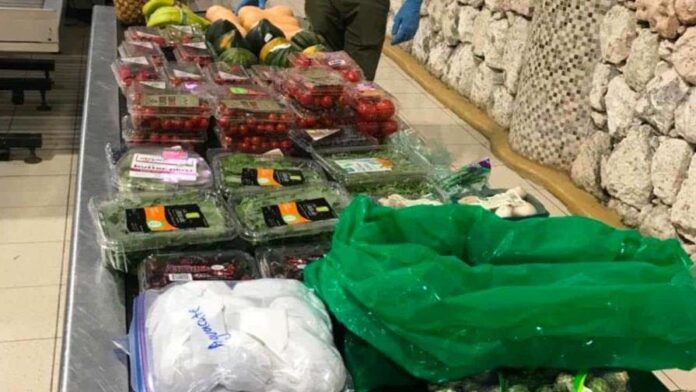 Artista español intentó entrar a RD 42 kilos de frutas y verduras