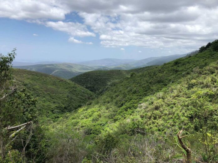 Denuncian supuesta trama para adueñarse del Parque Nacional Sierra de Bahoruco