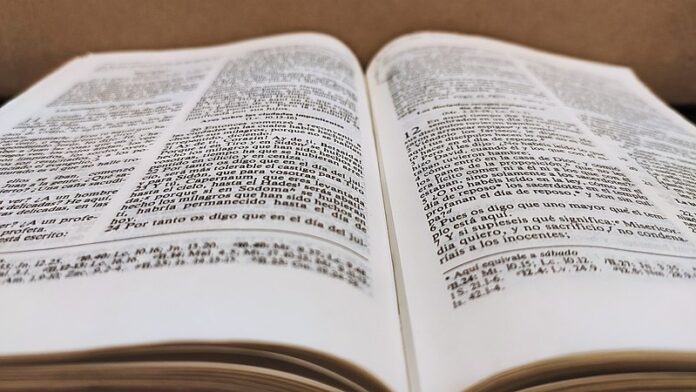 El papa lamenta que muchos creyentes no han leído ni un Evangelio