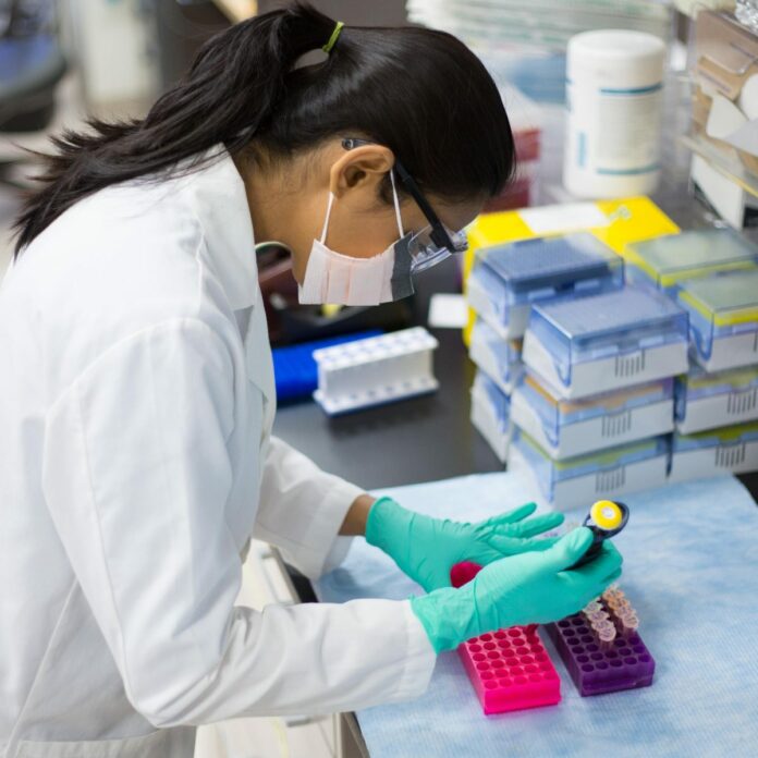 Encuentran primera evidencia prehistórica del síndrome de Turner, hace unos 2.500 años