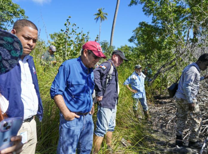 Expertos acompañan a fiscales en evaluación de manglar afectado en Las Terrenas 