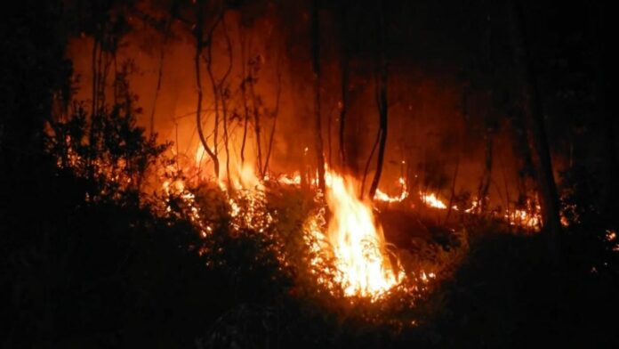 Incendio en Parque Nacional de Cuba deja daños de 8,3 millones de dólares
