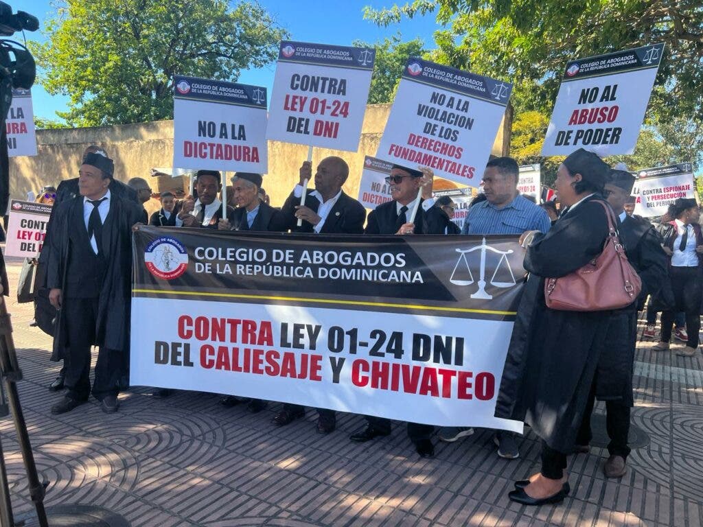 1707507549 910 Marchan contra Ley 01 24 que crea el DNI