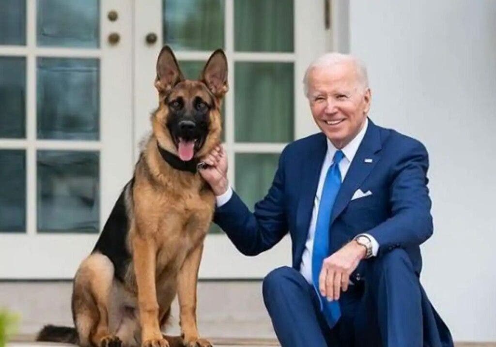 1708636702 983 Commander el perro de los Biden ha mordido a una