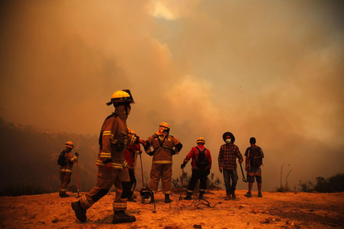 Aumenta a 46 la cifra de muertos por incendios forestales en Chile