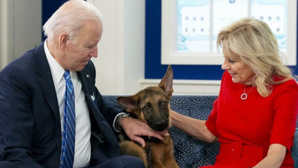 Commander el perro de los Biden ha mordido a una