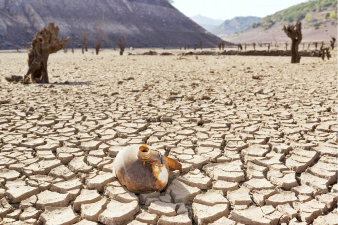 Ola de calor por crisis climática y El Niño ponen en alerta a países suramericanos