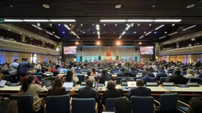 Realizan Asamblea de la ONU en Kenia para analizar los desafíos ambientales del mundo