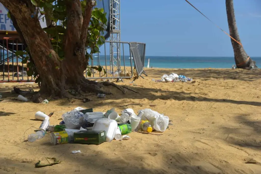 1711577235 336 Alcalde de Las Terrenas preve perdidas millonarias por cierre de