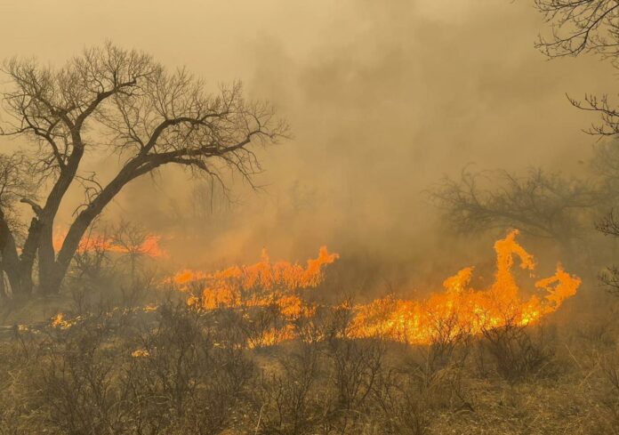 Devastador incendio en Texas amenaza con empeorar por el viento y las temperaturas 