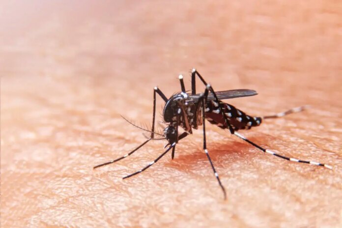 Salud ratifica alerta epidemiológica por dengue