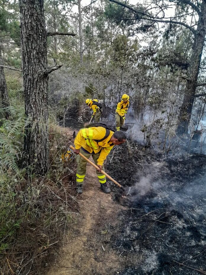 Semana Santa: Se registran varios incendios forestales