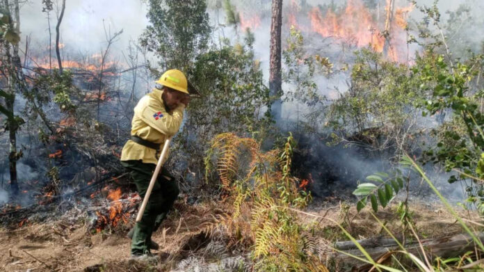 Autoridades civiles y militares unen esfuerzo para combatir incendios forestales