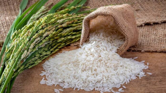 Estudios revelan que arroz se consume en RD no contiene metales pesados, según Pro Consumidor