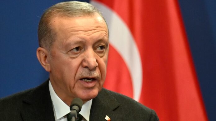 Irak: «La visita de Erdogan se centra en la lucha contra el PKK y la cooperación energética»