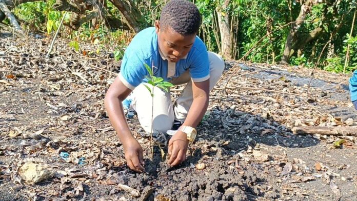 Realizan jornada de reforestación en Sabana Grande de Boyá; hacen llamado al CEA