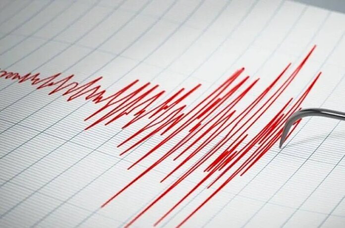 Terremoto de magnitud 6,9 sacude frente a la costa de unas islas al sur de Tokio