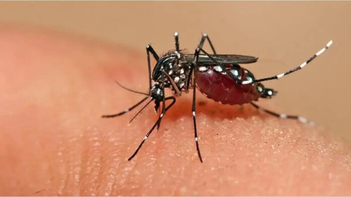 RD podría enfrentar un nuevo serotipo de dengue, según Viceministro de Salud