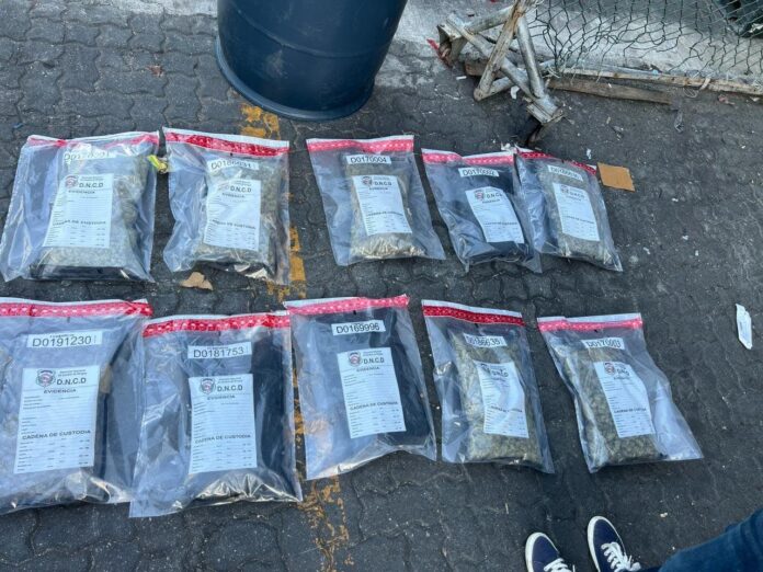 Intentan introducir 32 paquetes de marihuana al país por el Puerto de Haina