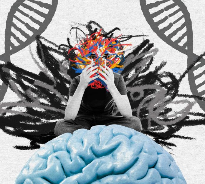 Esquizofrenia: un análisis unicelular arroja luz sobre su intrincada biología molecular