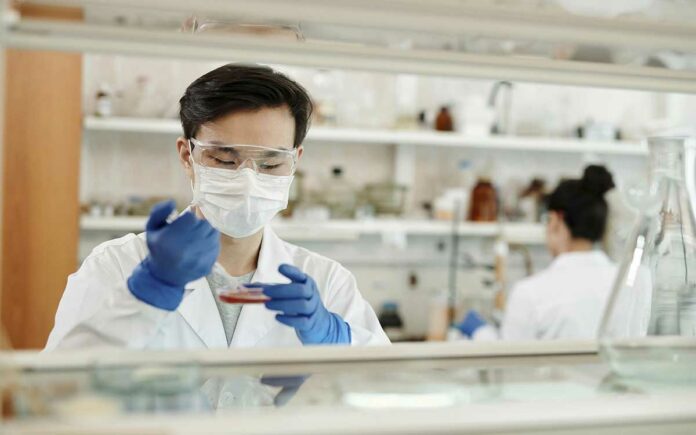 Científicos chinos reviven tejido cerebral humano que llevaba congelado 18 meses