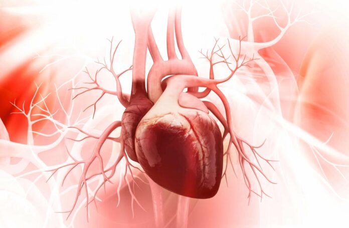 Estudio revela entre 50-75% de pacientes con falla cardiaca fallecen 5 años después de su diagnóstico