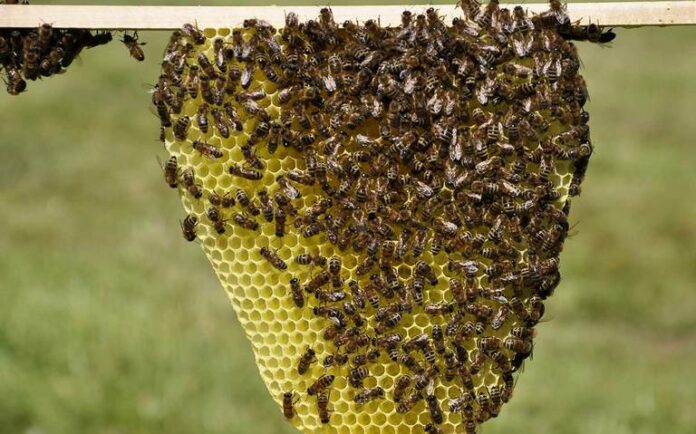 Niña alerta a sus padres sobre un monstruo en su habitación y esto fue lo que hallaron