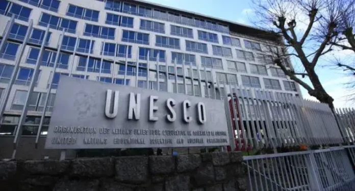 Unesco pide dar más seguridad a los periodistas ambientales