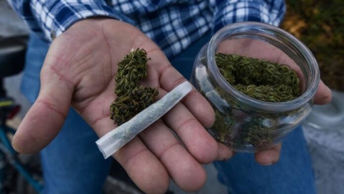 Caída del mercado de la marihuana legal genera incertidumbre en Colorado y California