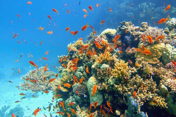 La Unesco alerta del deterioro acelerado de los océanos por el cambio climático