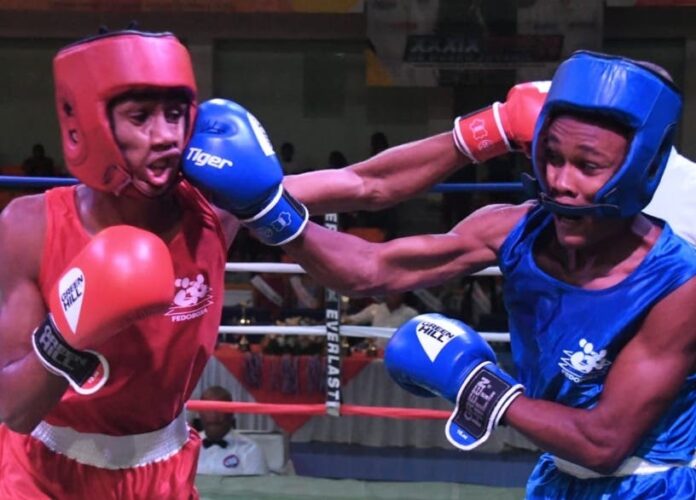 Más de 600 infantiles irán a eliminatorias para el Nacional Boxeo