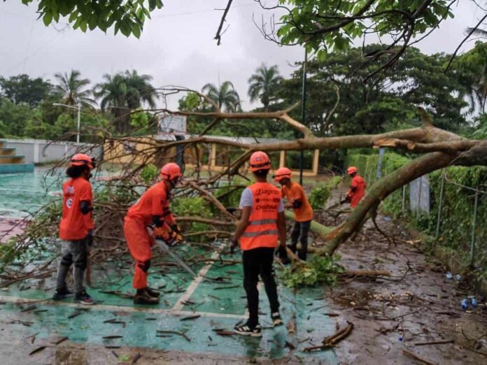 Autoridades reportan daños en provincias región norte por intensos aguaceros y vientos