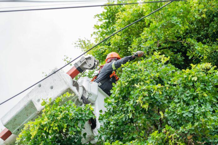 Edesur refuerza medidas en 19 circuitos eléctricos previo al paso del huracán Beryl