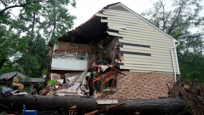 Beryl por Texas