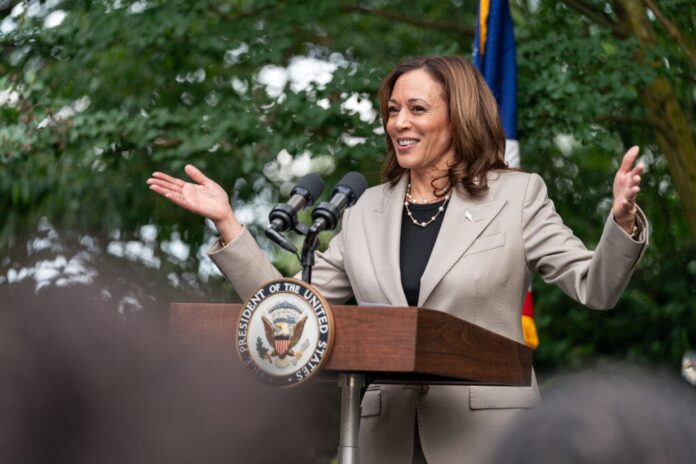 Comienza la votación para designar oficialmente a Kamala Harris como candidata demócrata    