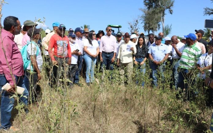 Agricultura eliminará miles de tareas rubros