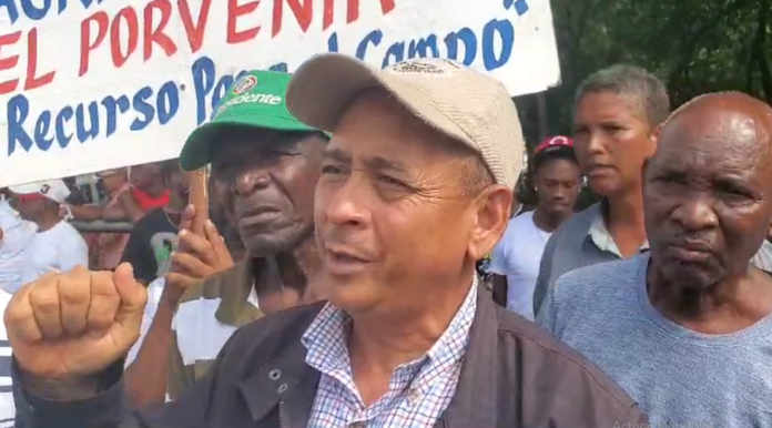 «El año pasado prácticamente no sembramos y este año vamos por el mismo camino»: productores protestan frente al Palacio