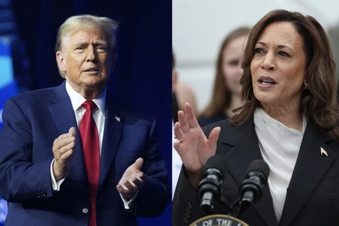 Kamala Harris recorta a la mitad la ventaja de Trump sobre Biden en Florida, según un sondeo