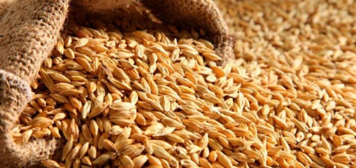 La cosecha mundial de cereales alcanzará nuevos récords este año con un comercio convulso