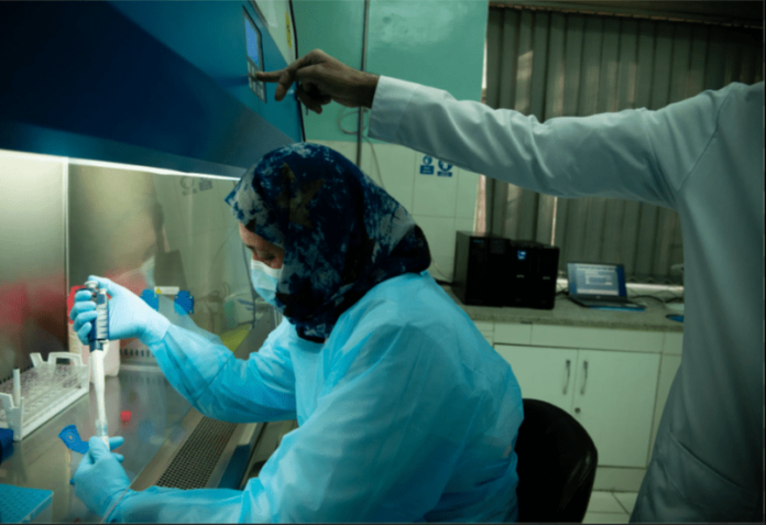 OMS pide ampliar la investigación de patógenos que pueden causar nuevas pandemias