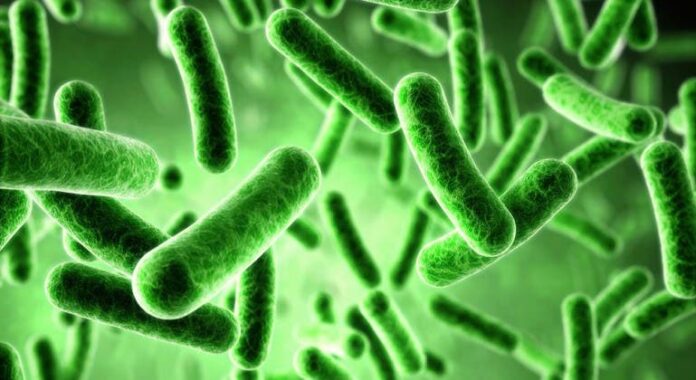 RD retiró productos por posible contaminación de listeria