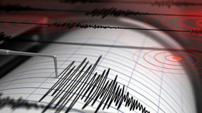 Reportan tsunami de medio metro tras terremoto de 7,1 en Japón