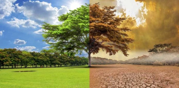 “El Niño” causó mayor extinción masiva de la historia en la Tierra, hace 252 millones de años