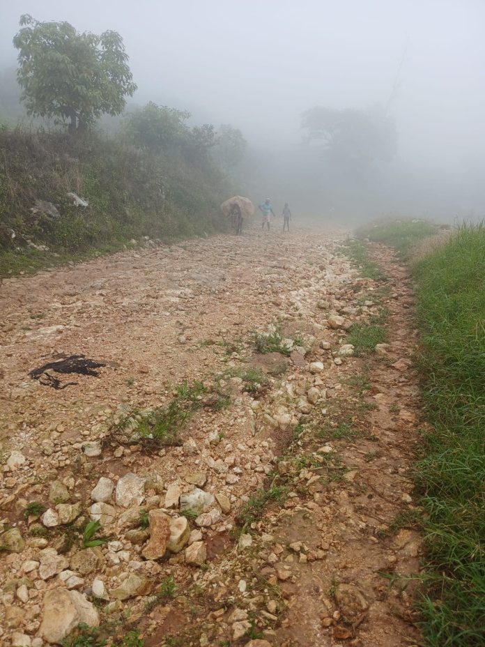 Pérdida total de la cosecha de aguacates Hass y otros rubros por deterioro de la carretera en Los Arroyos, Pedernales