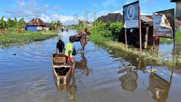¡Ciudadanos en peligro! Cocodrilos y serpientes escapan de zoológico tras inundaciones en Nigeria