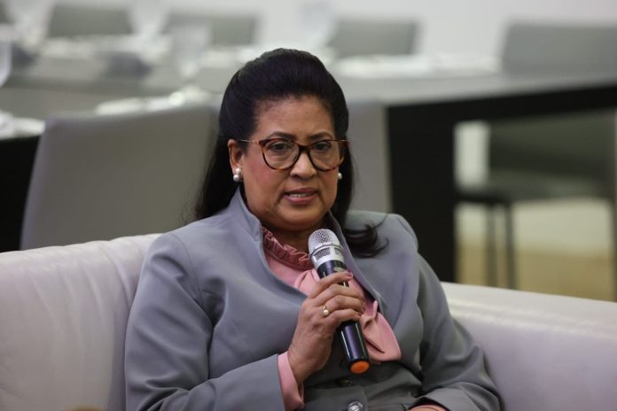 «No hay un estudio que justifique la fusión Mescyt-Minerd», dice Cristina Lizardo